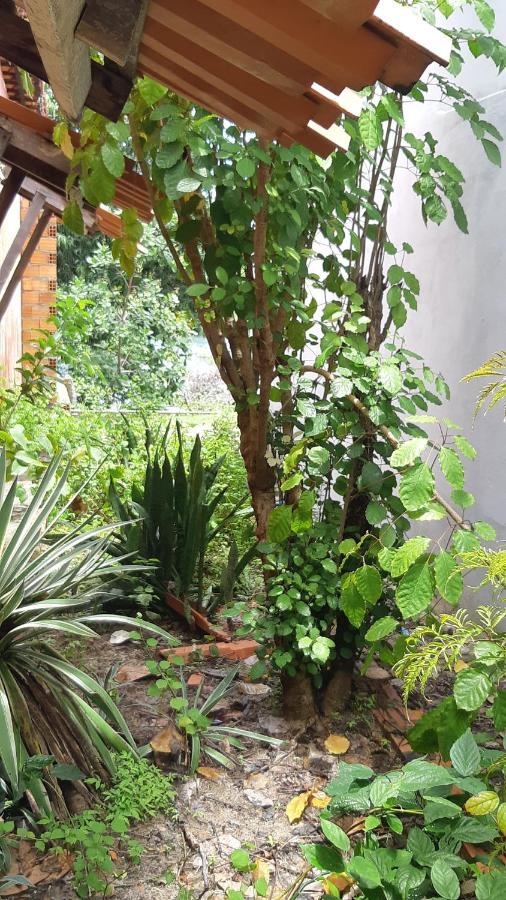Natural Hostel Atins Zewnętrze zdjęcie